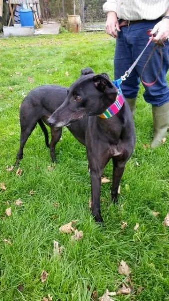 20151010 131210 resized