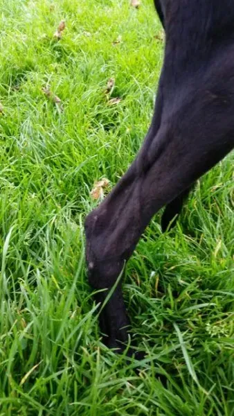 20151010 131228 resized