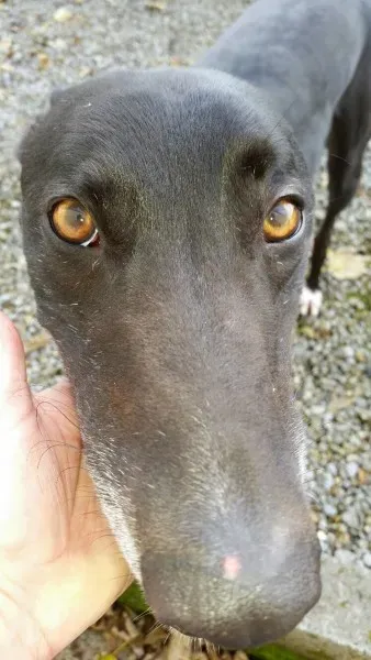 20151103 123237 resized