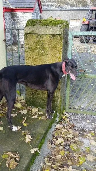 20151103 123347 resized