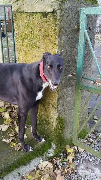 20151103 123422 resized