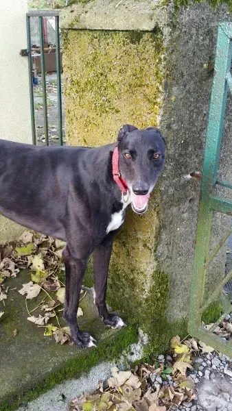 20151103 123424 resized