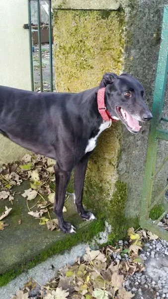 20151103 123428 resized