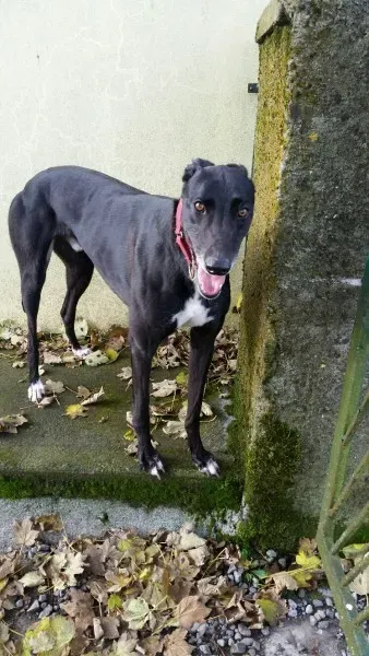 20151103 123513 resized