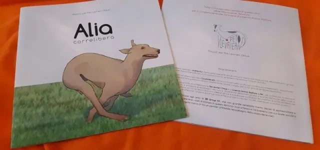 20151115 103248 resized 640x300