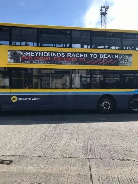 20155674 10211866203043015 3687967834430199119 n