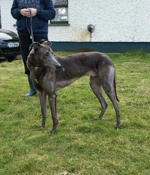 2016 03 24 20.47.13 resized 1