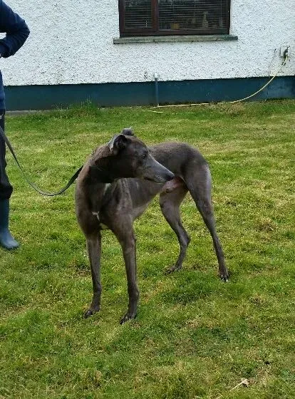 2016 03 24 20.48.11 resized 1