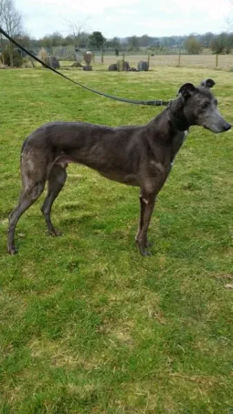 20160323 090353 resized 1