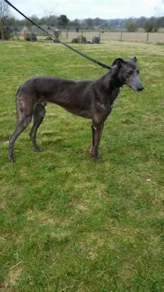 20160323 090358 resized 1