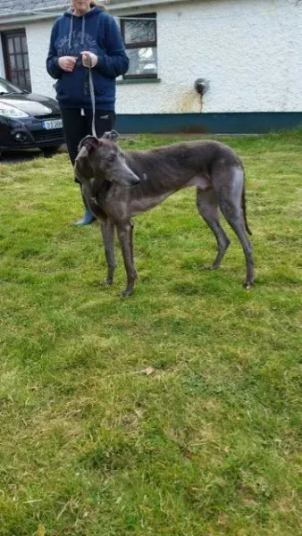 20160323 090432 resized 1