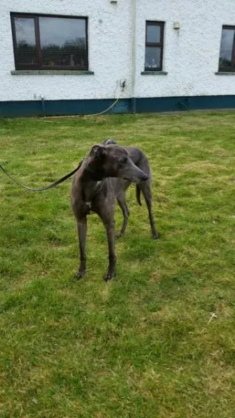 20160323 090456 resized 1