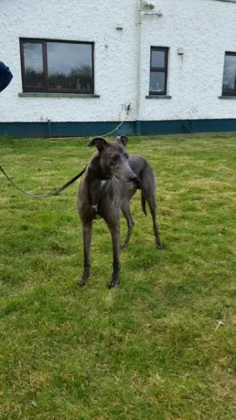 20160323 090502 resized 1