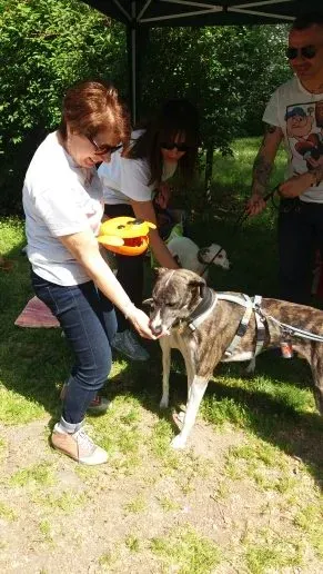 20160508 111842 e1462738201739