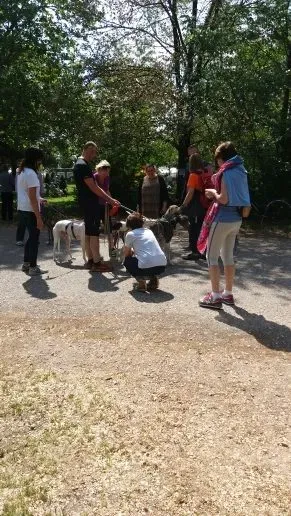 20160508 113811 e1462738442640