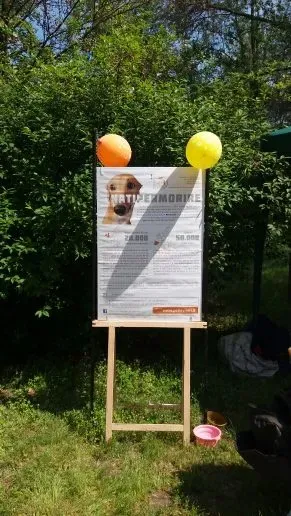 20160508 113826 e1462738015716