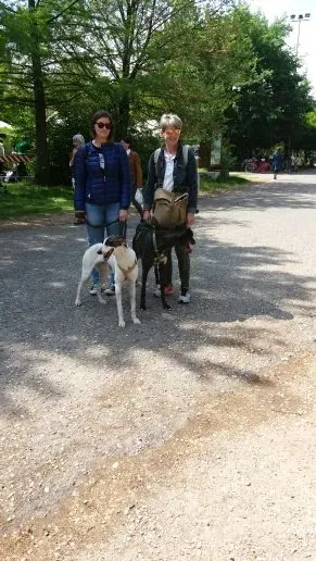 20160508 113932 e1462738467229