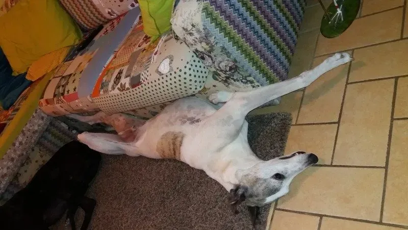 20160713 212122 e1510141336807