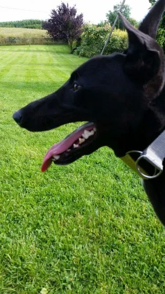 20160719 183451 1469869650626 resized