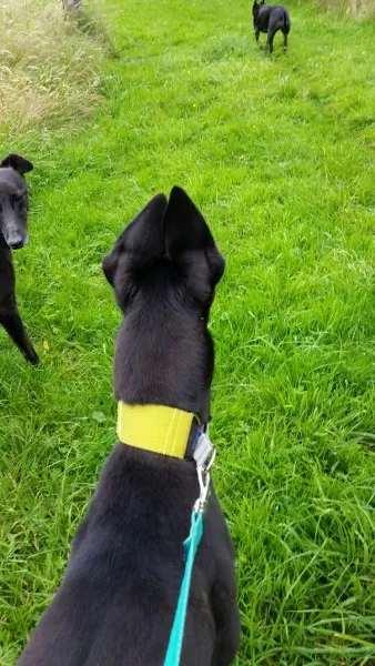 20160720 122229 1469869648362 resized