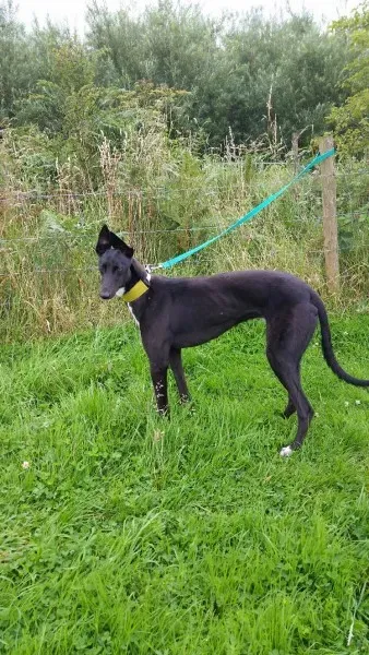 20160730 091346 1469869653398 resized