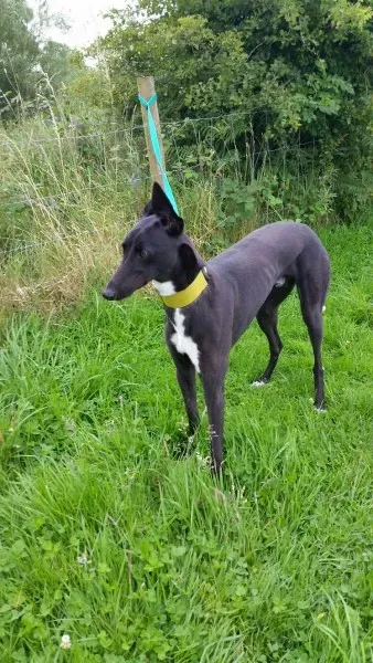 20160730 091400 1469869658784 resized