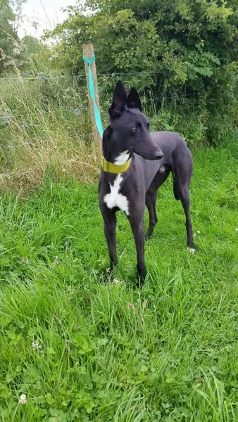 20160730 091417 1469869661663 resized