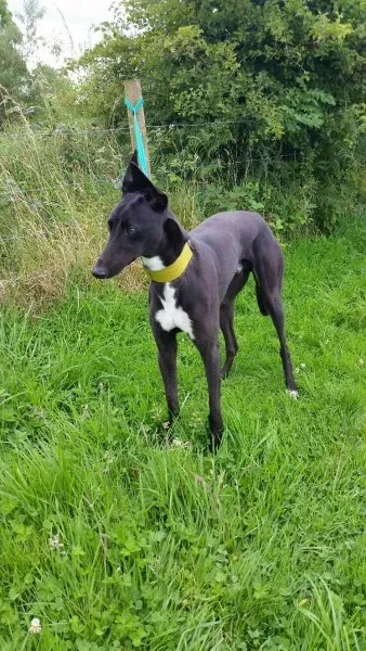 20160730 091421 1469869664111 resized