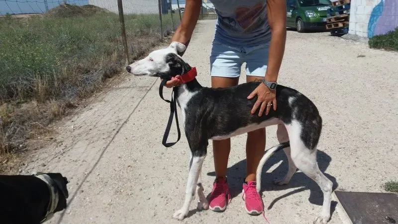 20170714 120820 e1500236644423