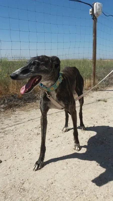 20170714 120947 e1500238687760