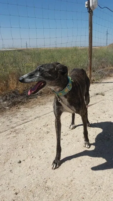 20170714 120949 e1500238709623