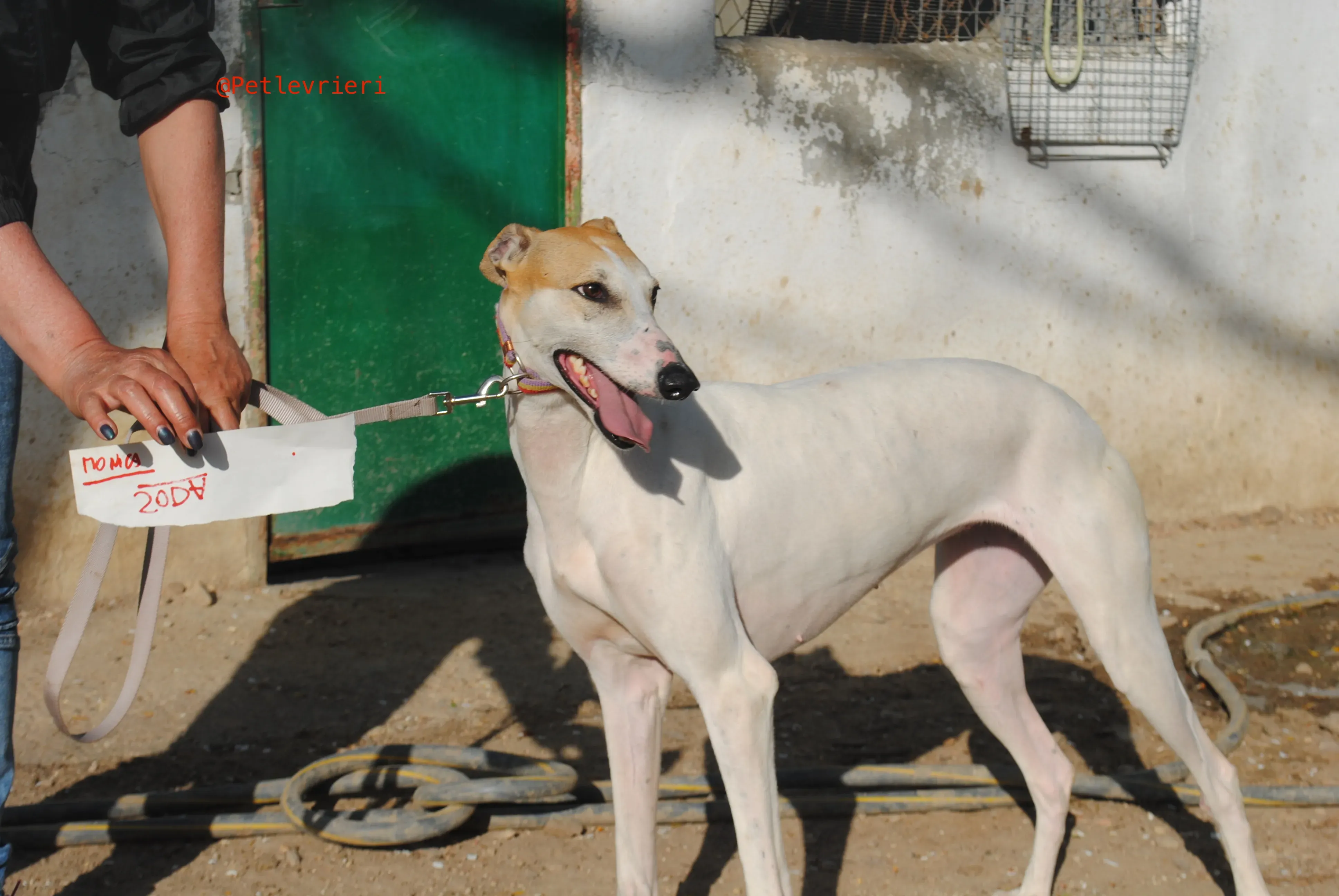 2018 04 20 18.05.03 2