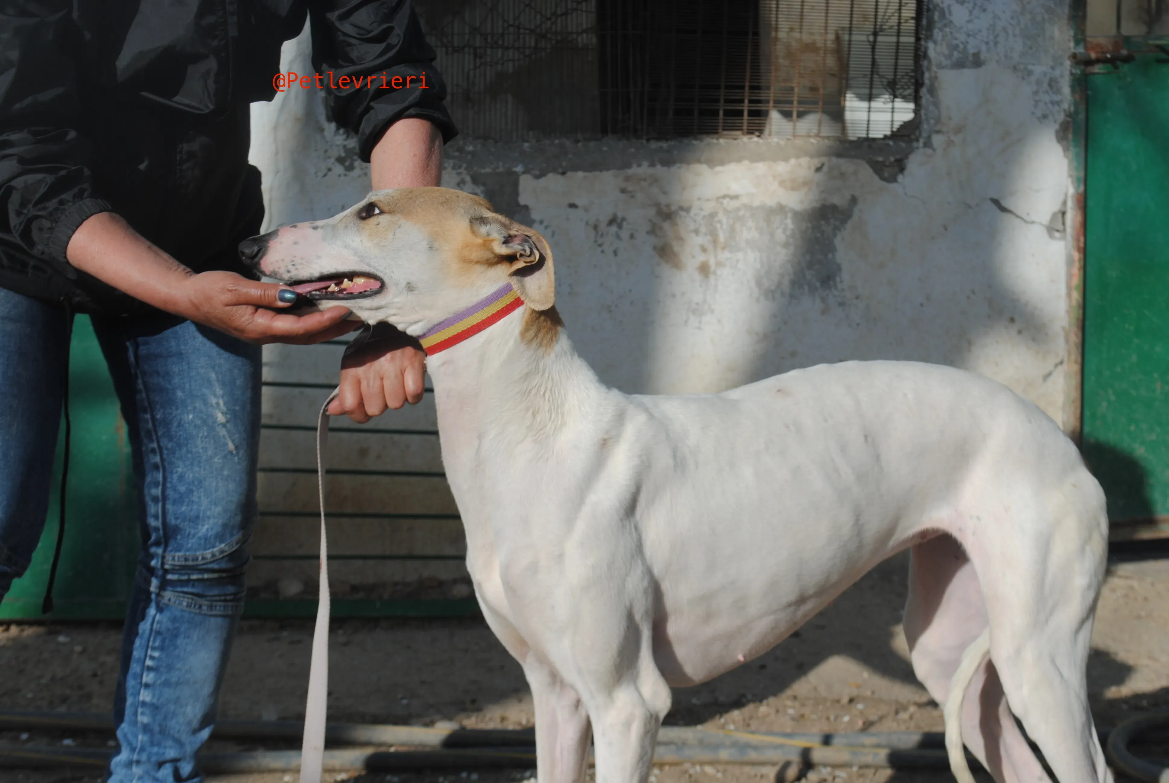 2018 04 20 18.05.26 2