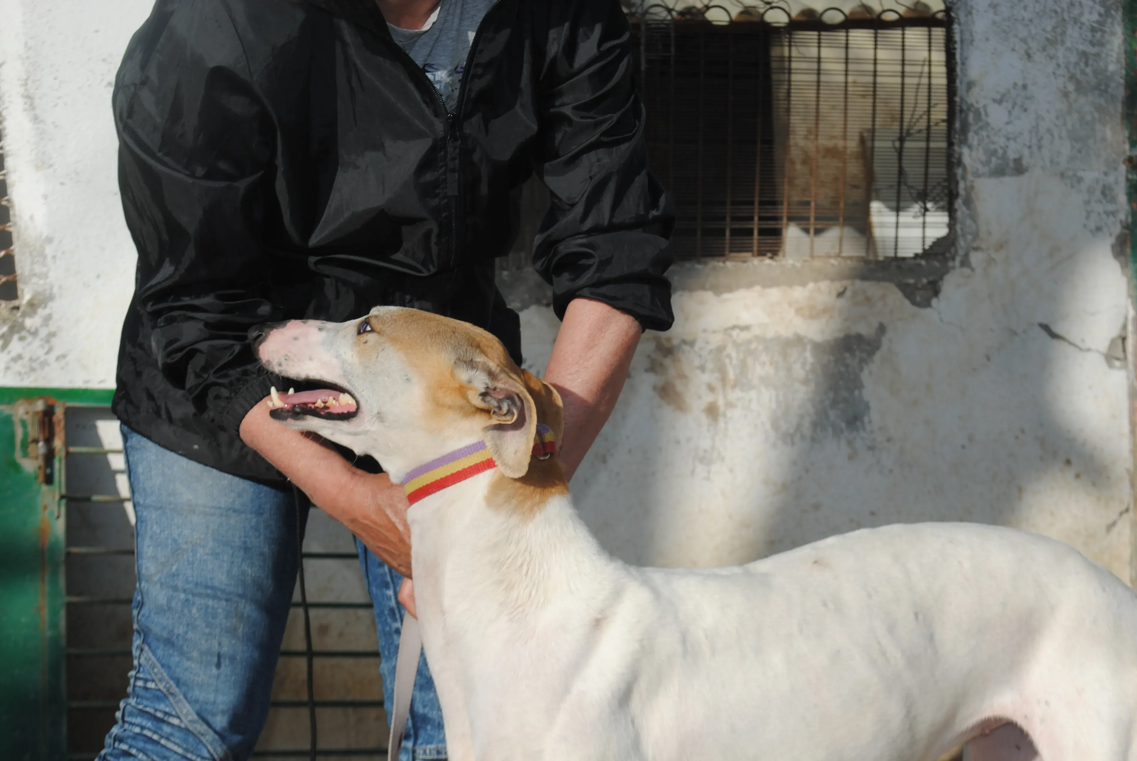 2018 04 20 18.05.28 1