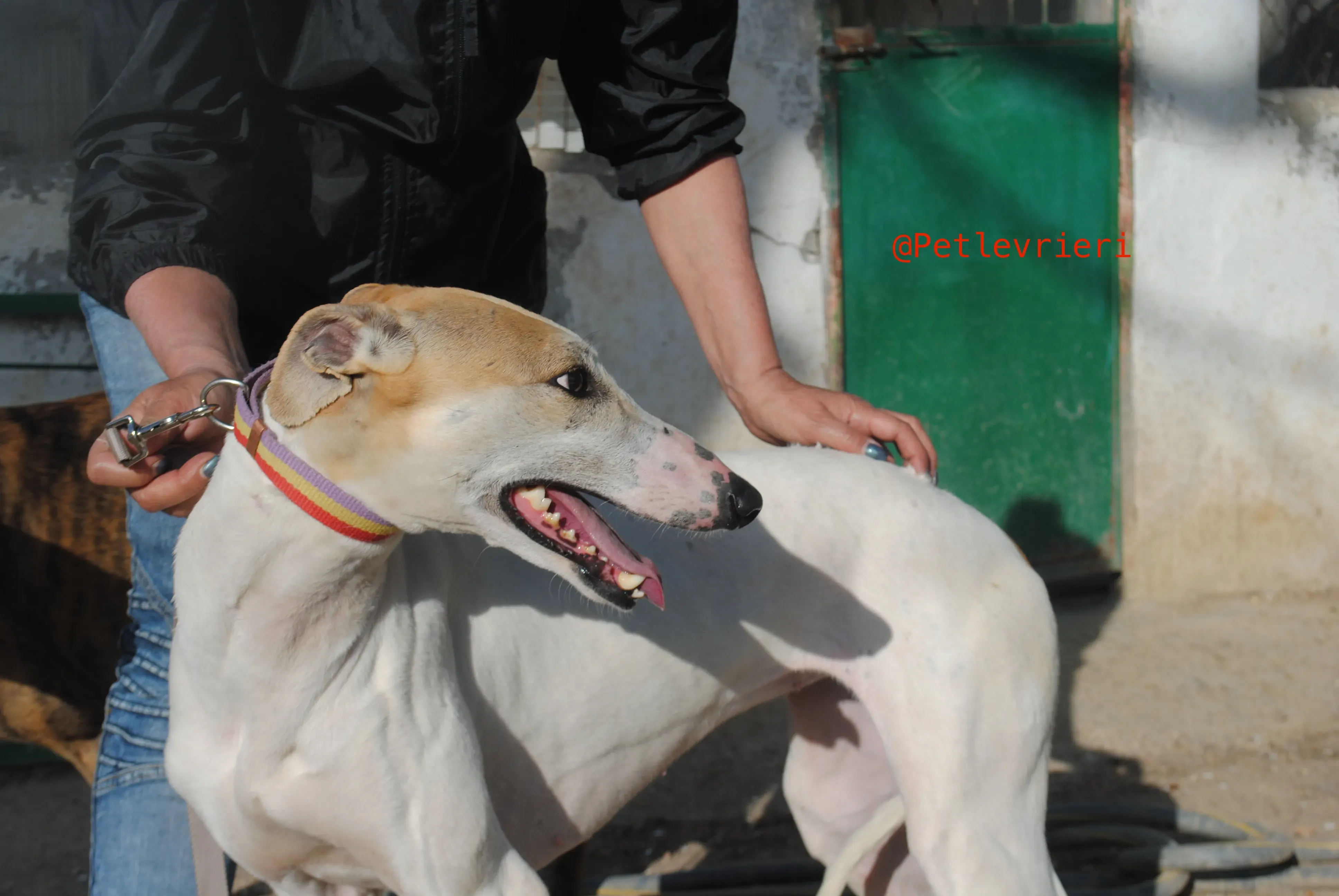 2018 04 20 18.05.36 2