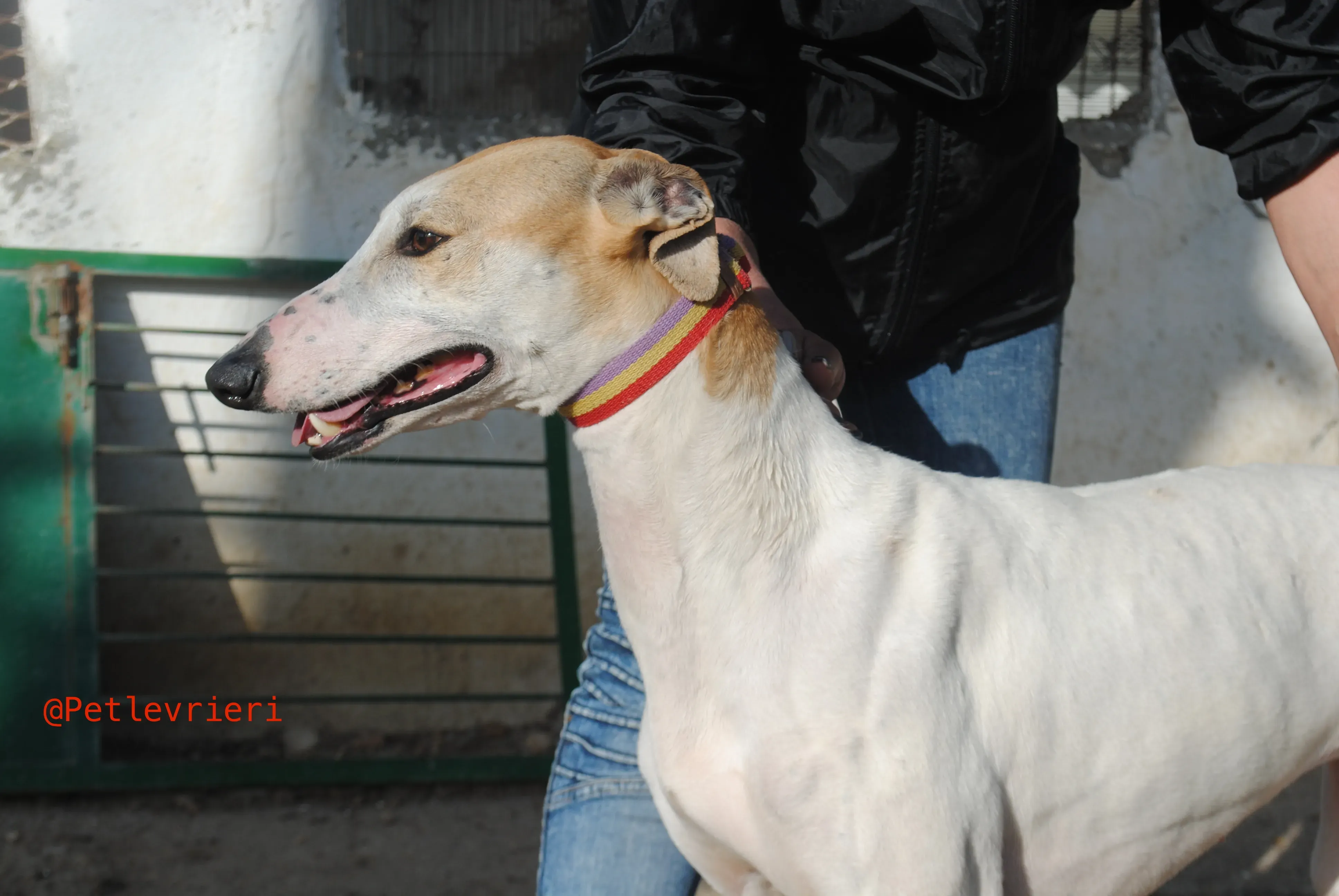 2018 04 20 18.05.40 2