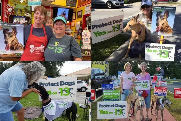 2018 oct pro dog fl volunteers