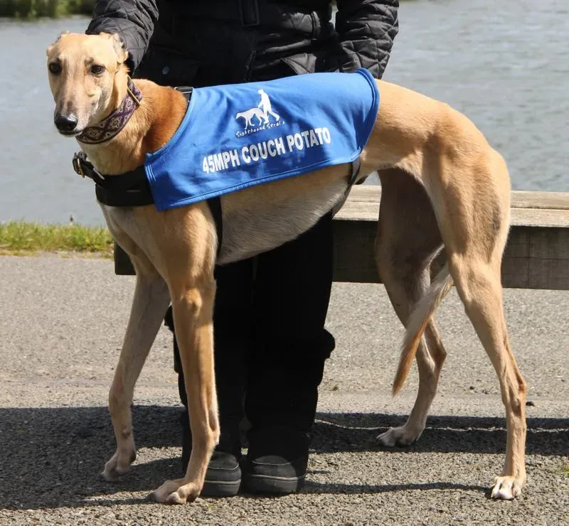 2020 12 01 wex 65074673 I1