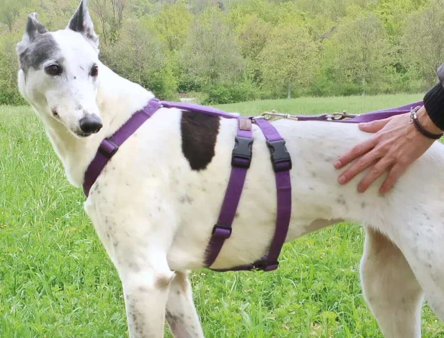 20210418114546 IMG 7211 01