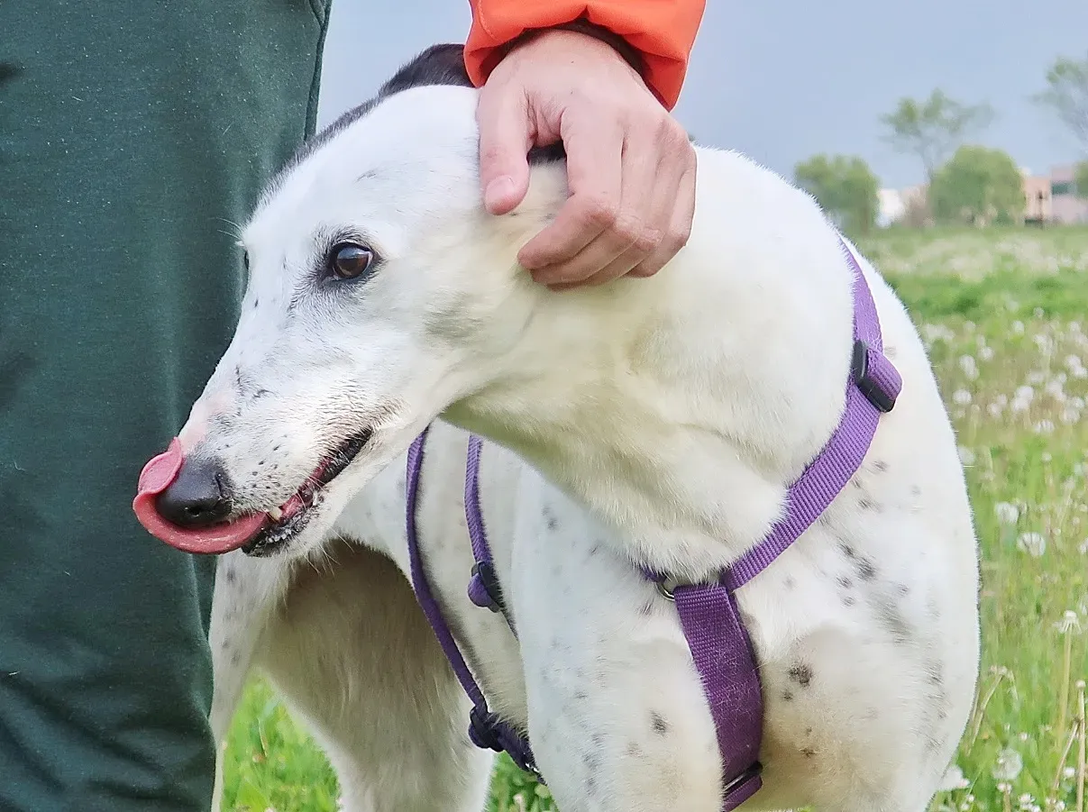 20210418170239 IMG 7267 01