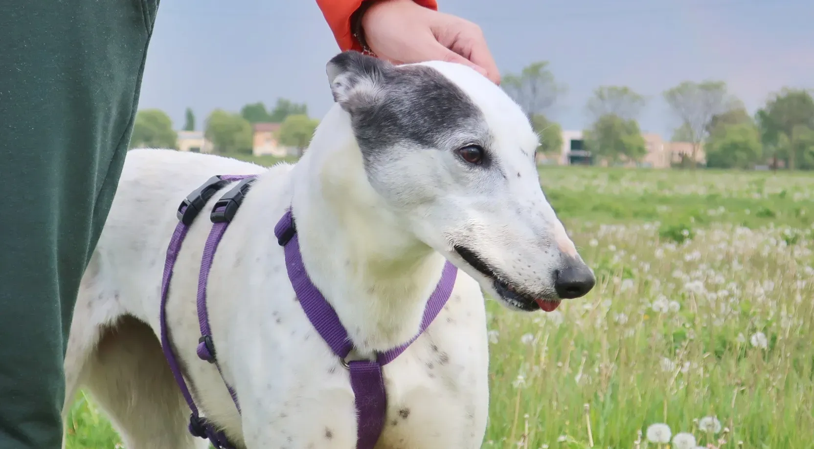 20210418170240 IMG 7268 01