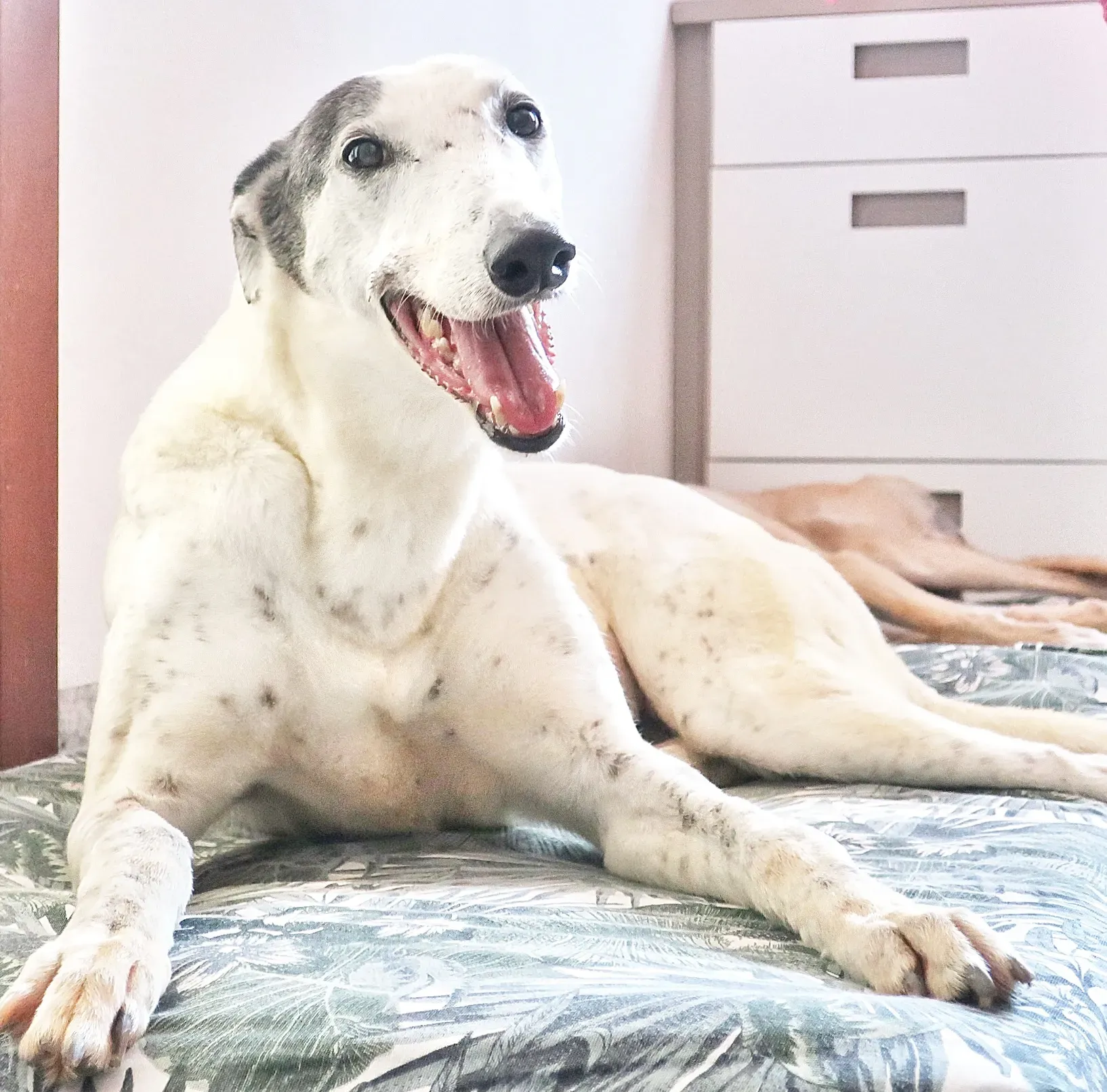 20210419154615 IMG 7284 01