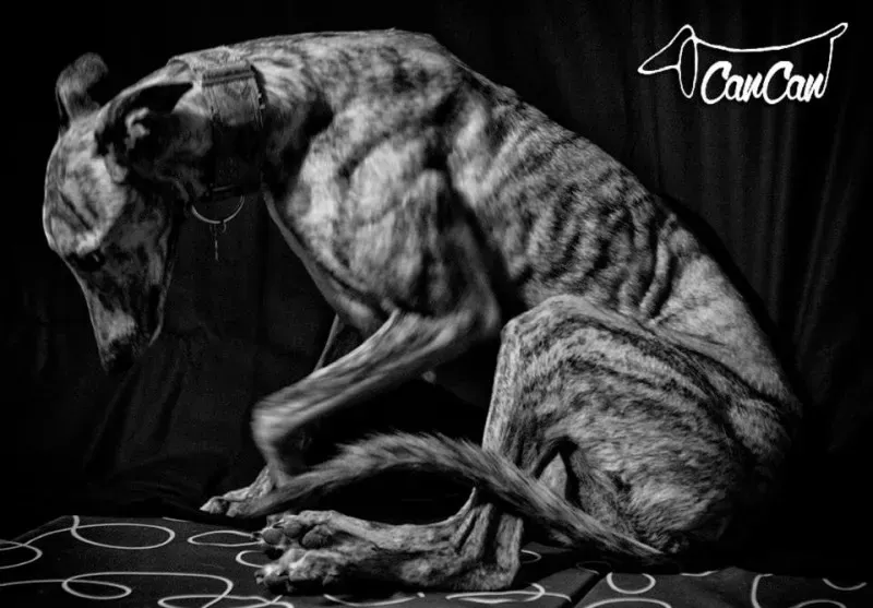 20214 1590907064500662 7238806533895399535 n