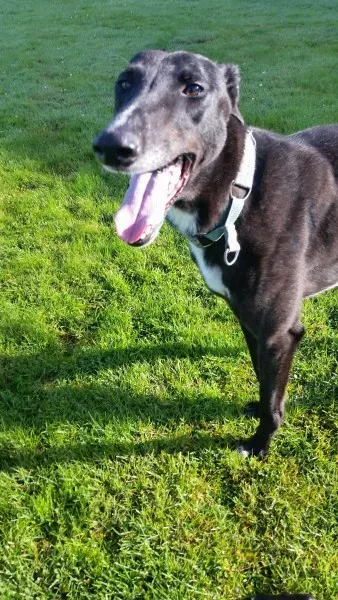 20227725 10213664658640409 1760456889 o