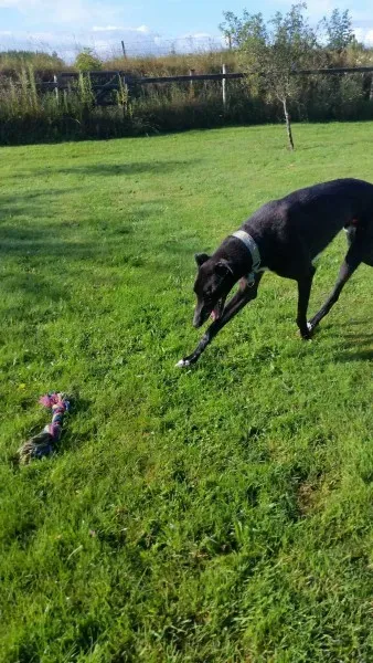 20227771 10213664656440354 612148817 o