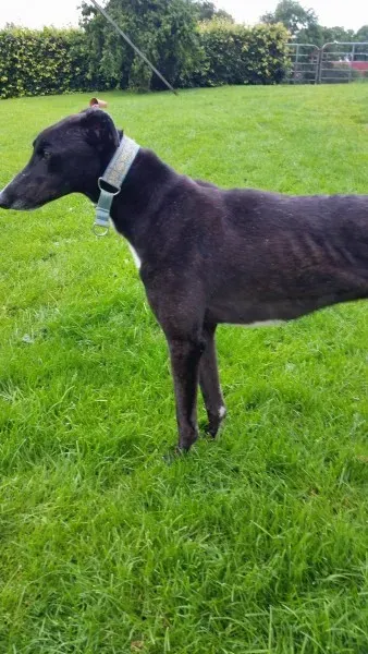 20227979 10213664655680335 1109486984 o