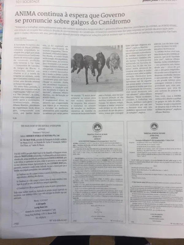 20228314 1237261903075170 3452971617189419491 n e1500383185296