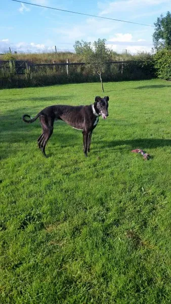 20257432 10213664660720461 892355832 o