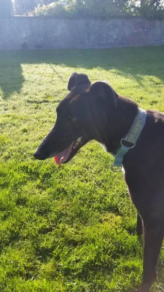 20257475 10213664657600383 1299168841 o