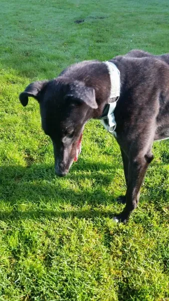 20257891 10213664658800413 1736661001 o